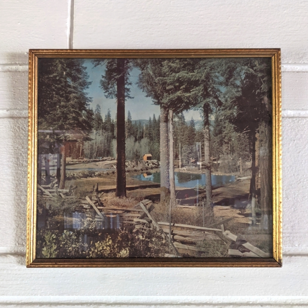 Vintage PNW Framed Photo
